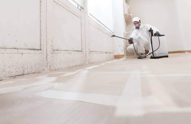 24/7 Emergency Commercial Mold Remediation experts in Camden, NC